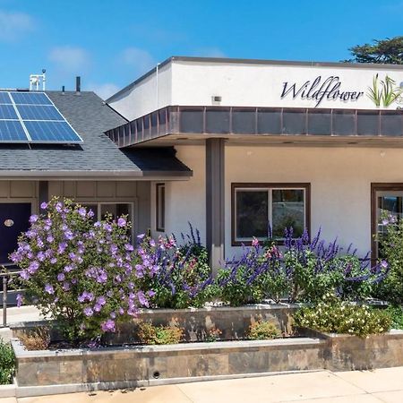 Wildflower Boutique Motel 포인트 아레나 외부 사진